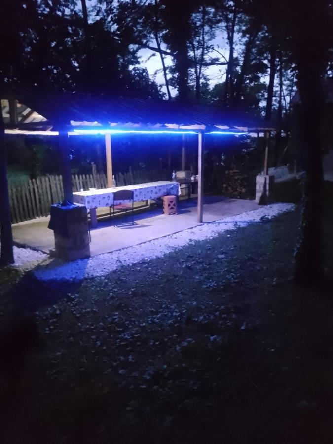 Tamuna Guest House マートヴィリ エクステリア 写真